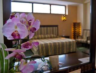 Отель Hotel Tecadra Бухарест Номер-студио-1